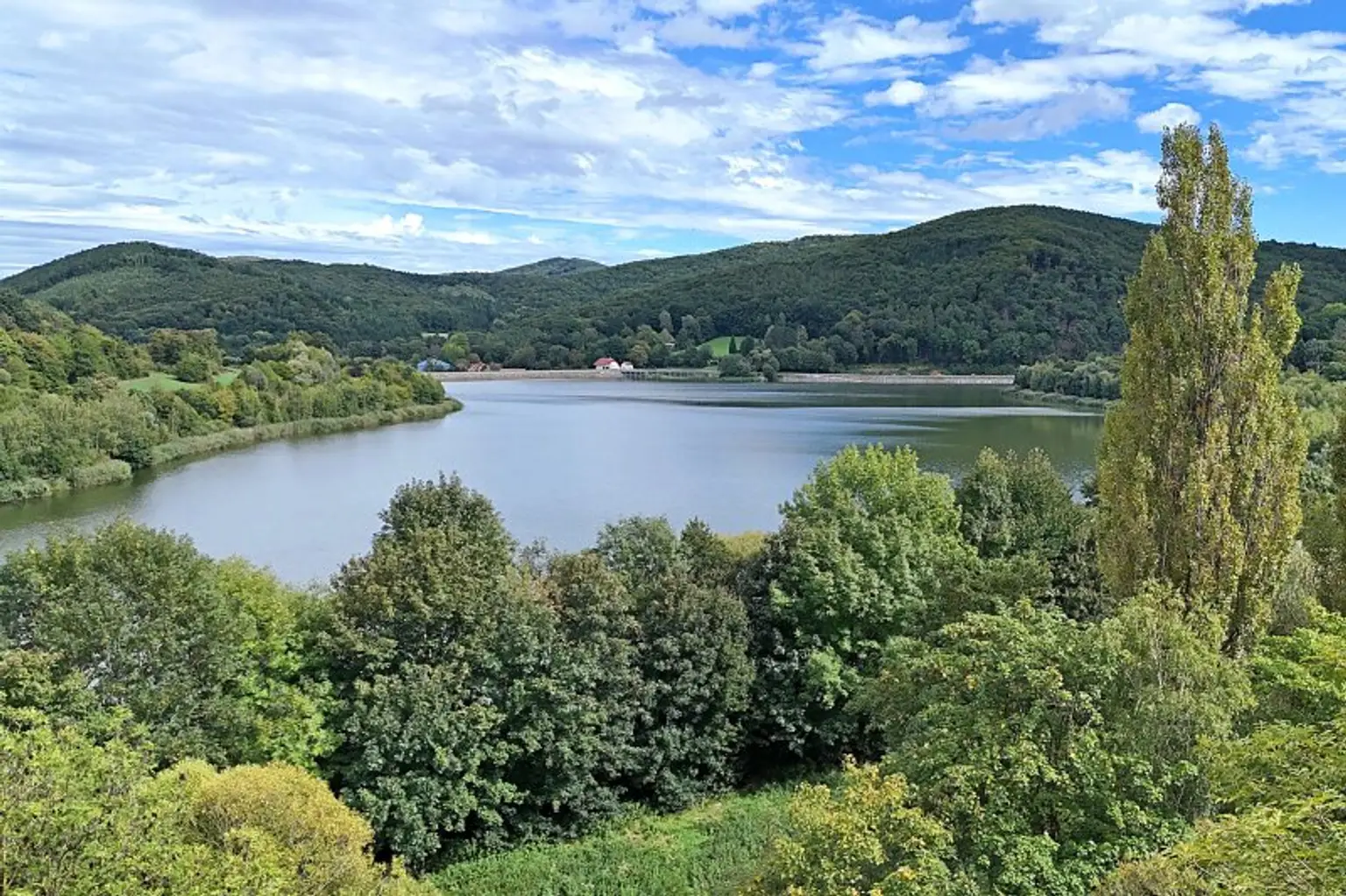 Investition in Toplage am Bartberg: 13 Parzellen am Wienerwaldsee - Aufschließung bezahlt!