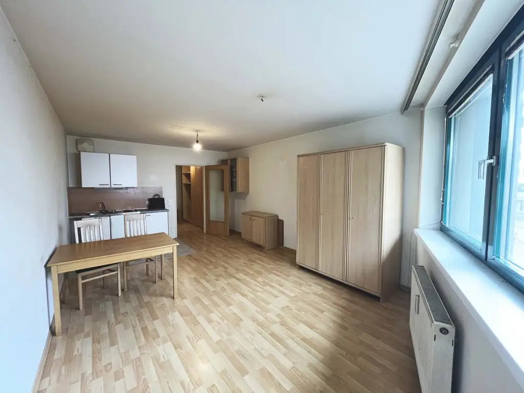 Gemütliche Einraumwohnung, direkt bei U3 Schlachthausgasse!