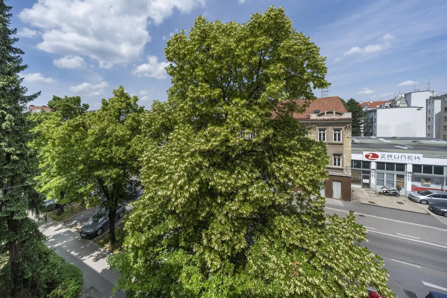 Ausblick Fenster Wohnung 1190 wien