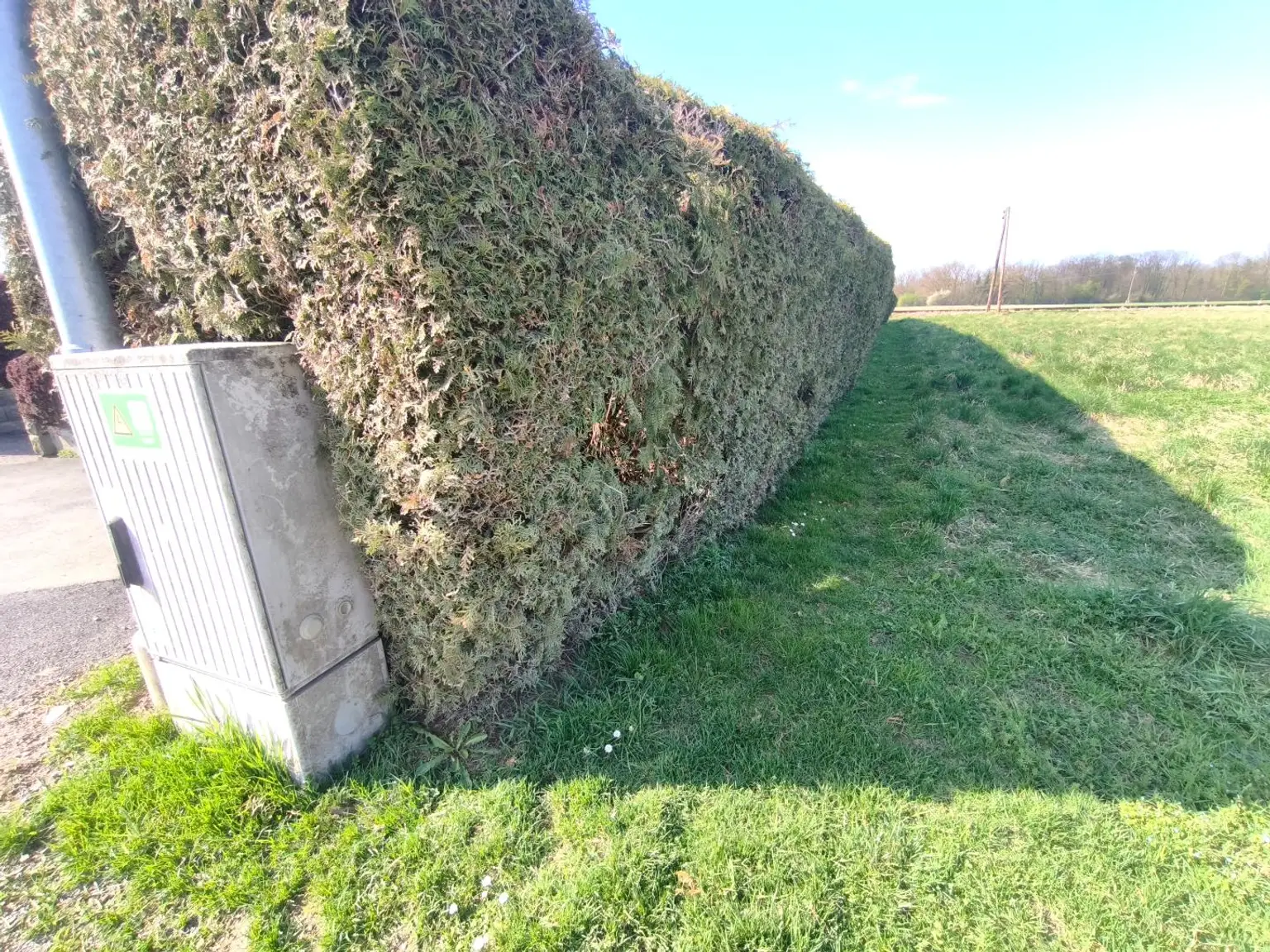 Stromverteiler an Grundgrenze