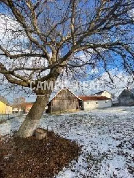 CAMPO-BIETERVERFAHREN-BAUERNHAUS: großes Nutzungspotenzial im Ortsmitte