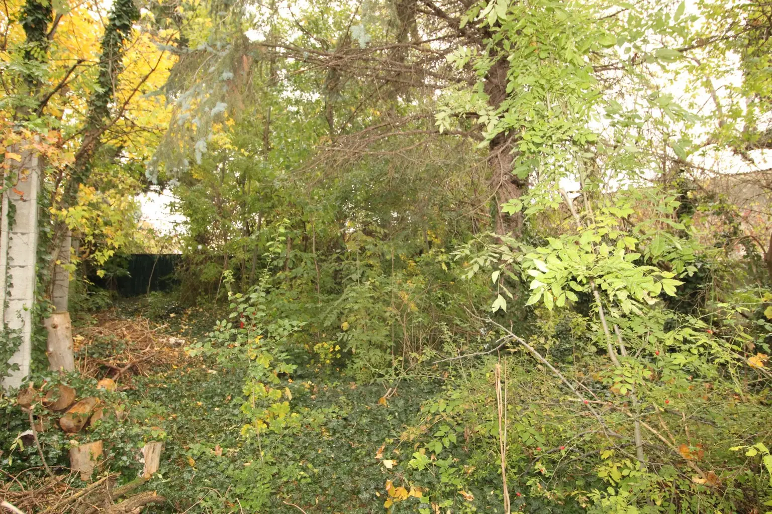 "Grundstück in Asperner Bestlage"