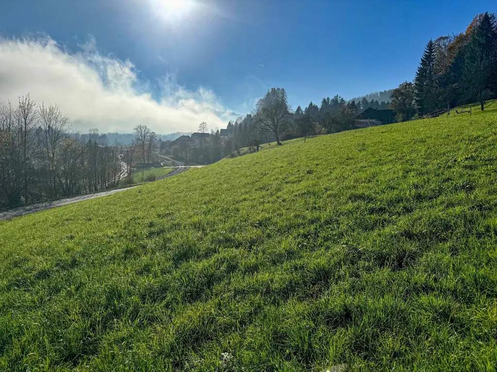 Kleine Siedlung von insgesamt vier Häusern - zu Fuß zum schönen Almfluss - herrliche Wanderungen und Radtouren von zu Hause aus!