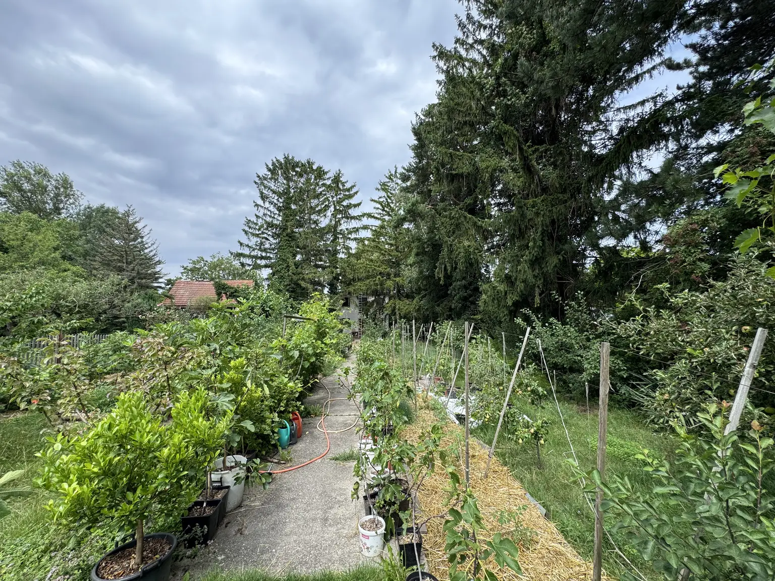 Exklusives Grundstück in Traumlage am Mühlwasser