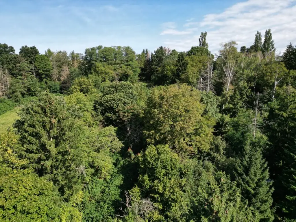 Verborgene Eleganz Haus auf Eigengrund in Maria Gugging