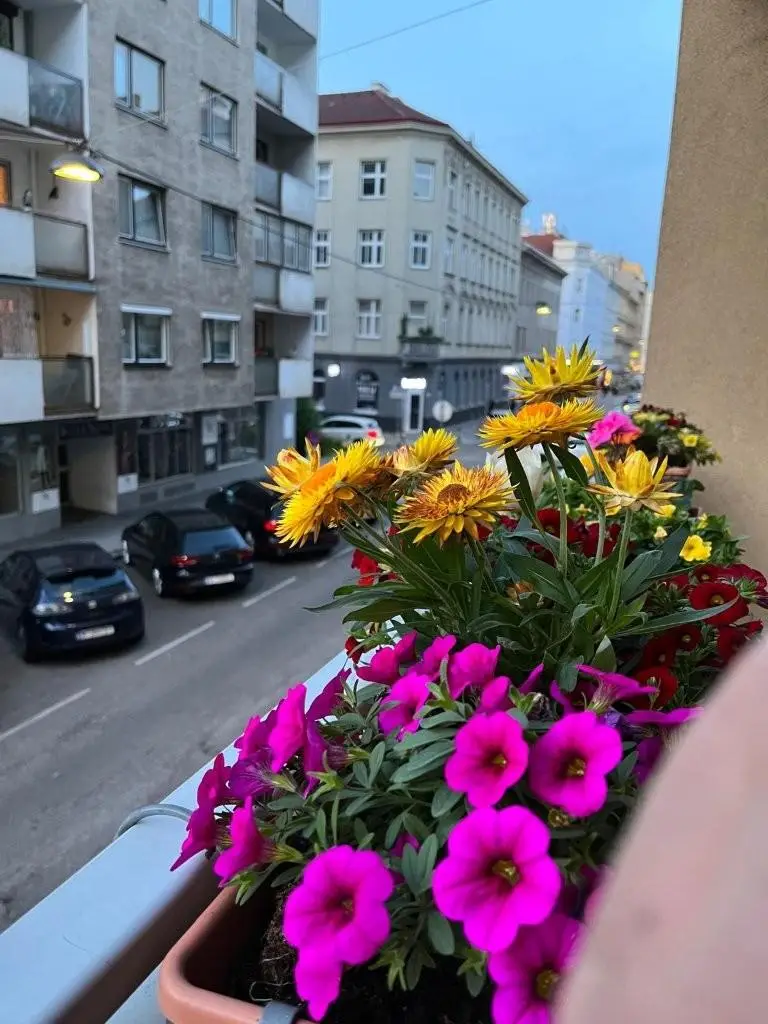 19 Ausblick Loggia 1100