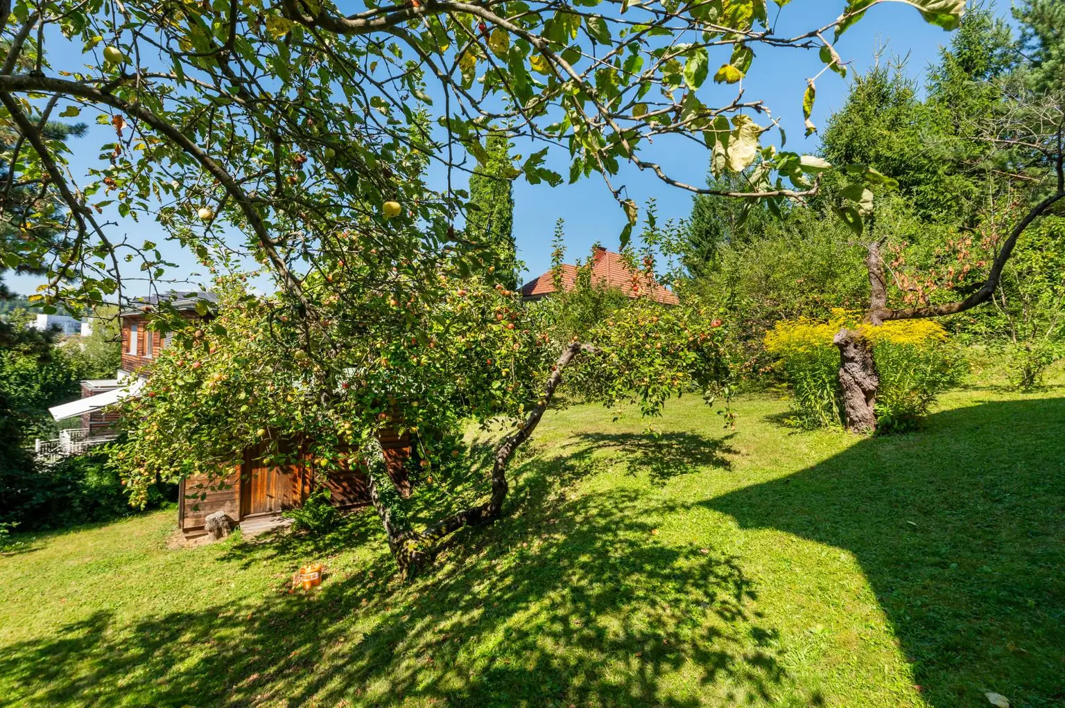 Rarität - Wohnhaus mit großem Garten in begehrter Hanglage am Ruckerlberg