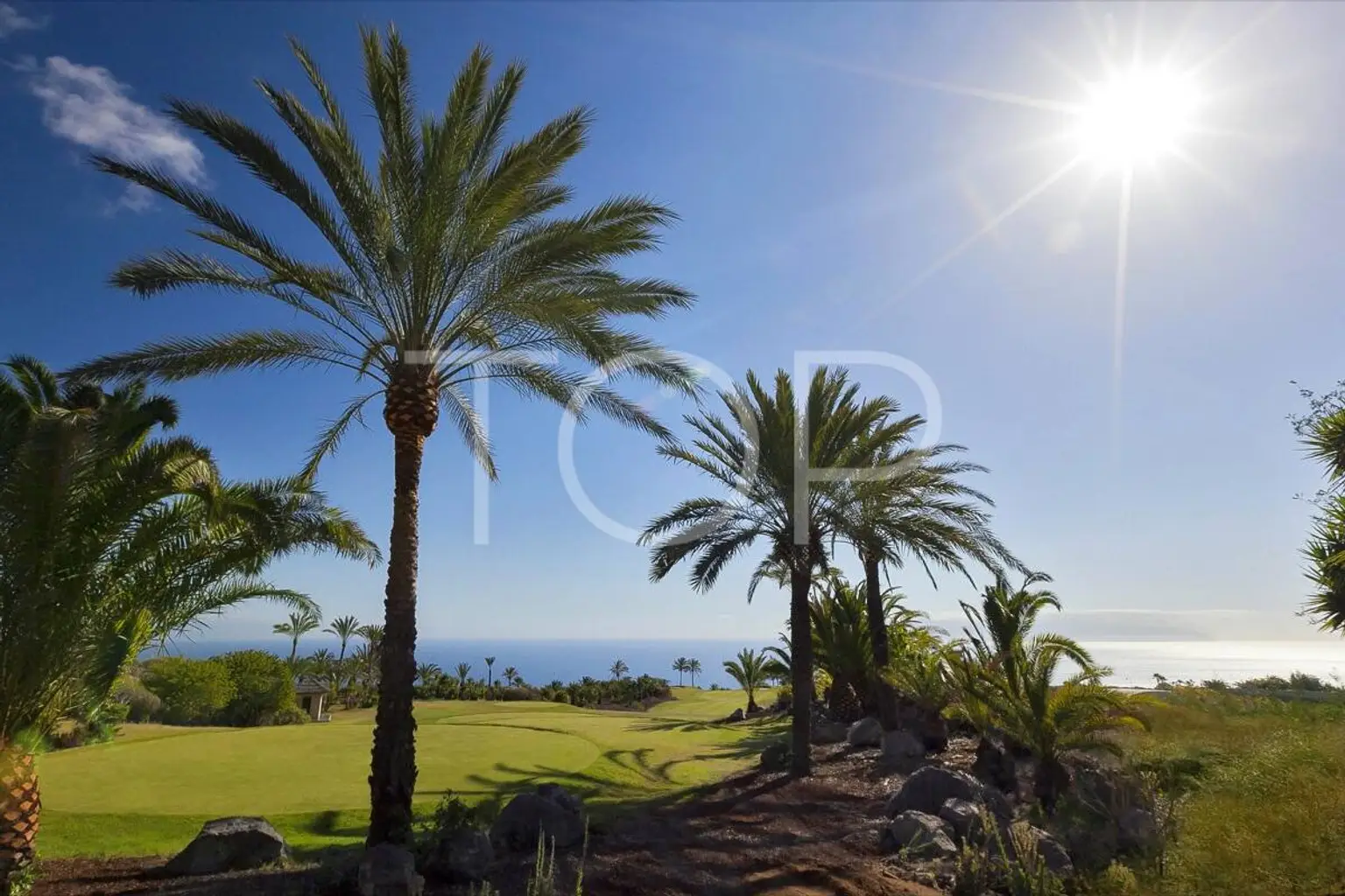 _mg_4790ed_48290113396_o