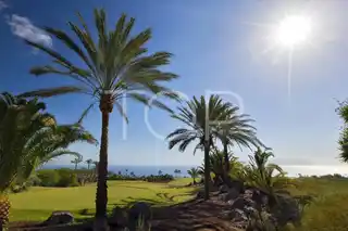 _mg_4790ed_48290113396_o