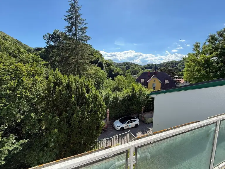 Ausblick Freifläche