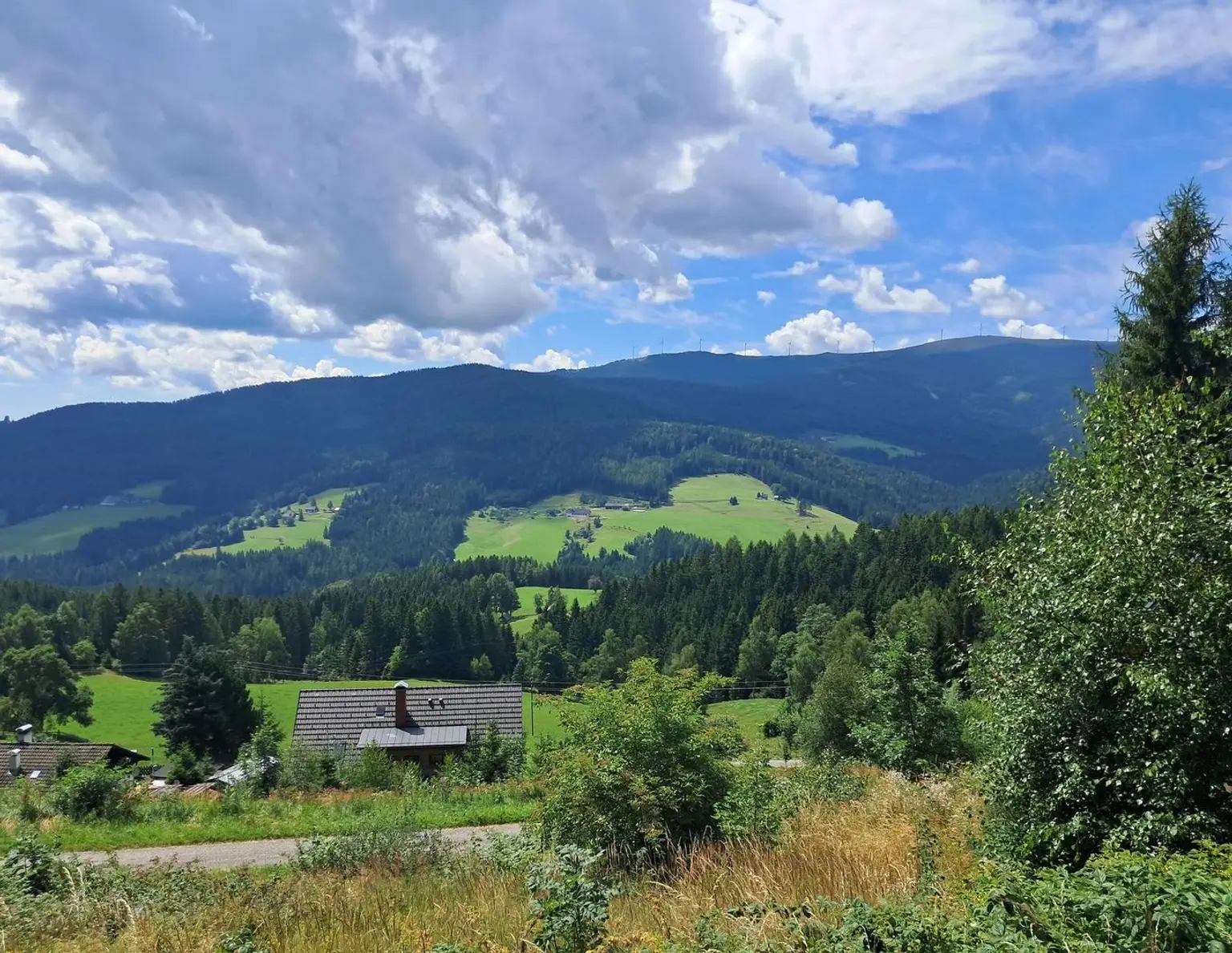 3 Hebalm Grundstücke mit 4 bewilligten Ferienhäuser (Provisionsfrei)