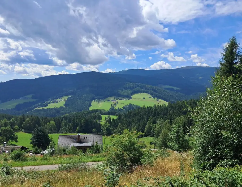 3 Hebalm Grundstücke mit 4 bewilligten Ferienhäuser (Provisionsfrei)