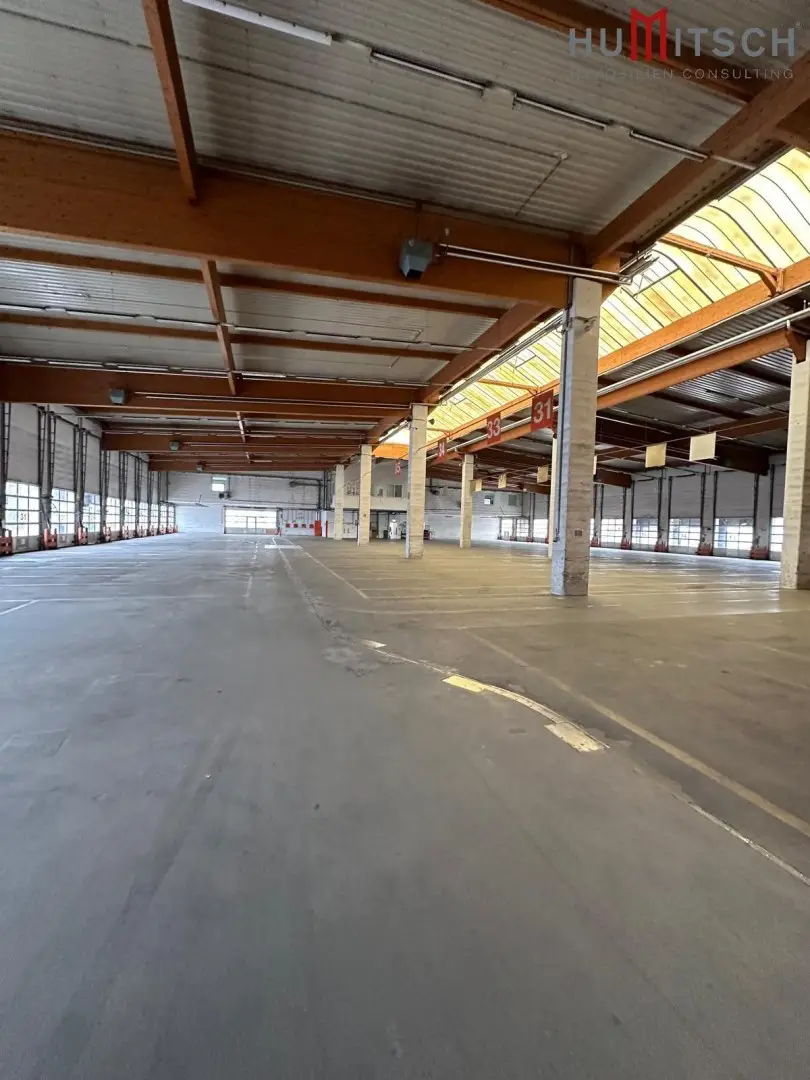 Hallenflächen in Graz-Puntigam