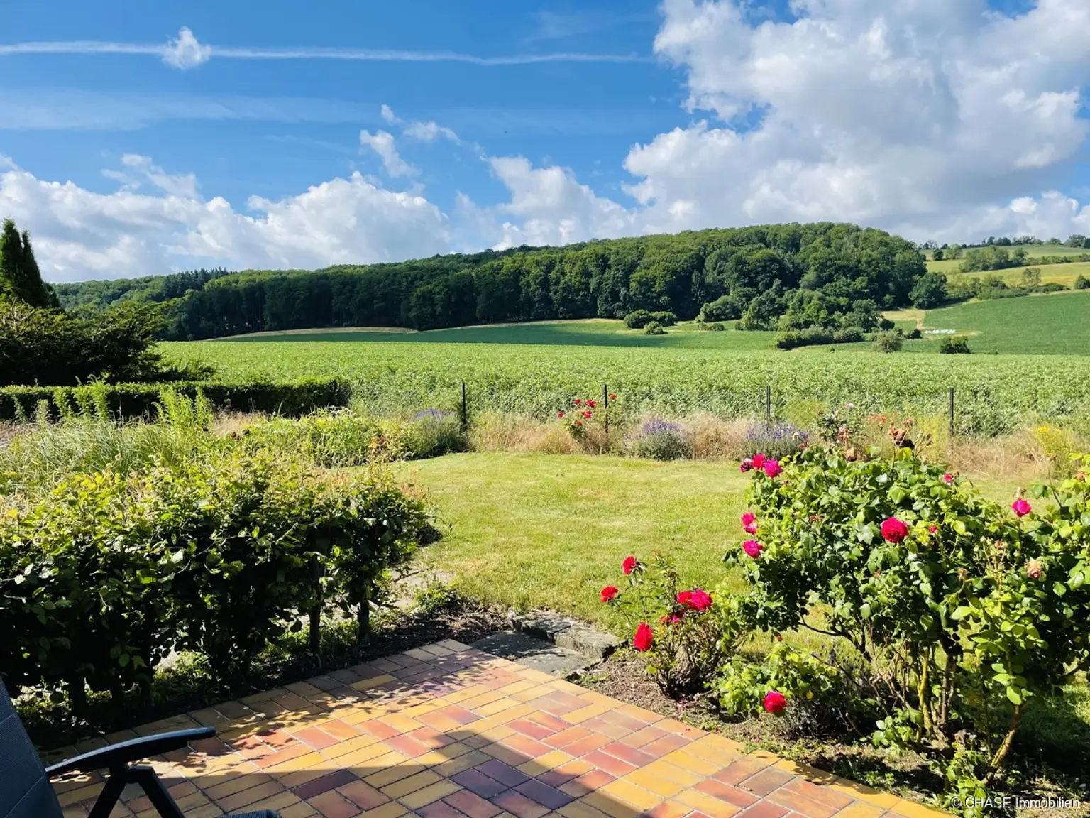Ausblick Terrasse