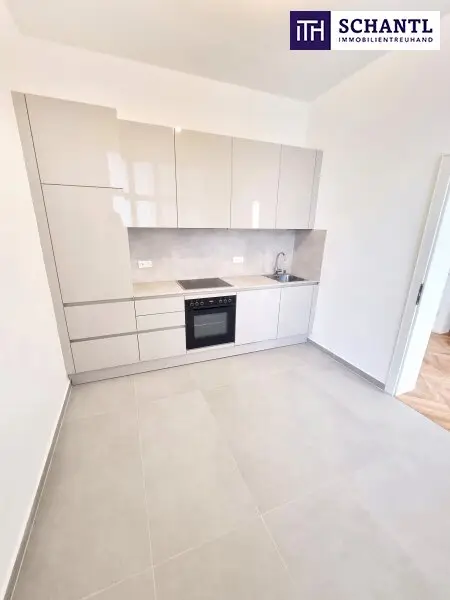 Stuck an der Decke. Gänsehaut im Herzen! 3 Zimmer und separate Küche in Bestlage in 1050 Wien! HIP und TRENDY die Gegend - Magisch schön das Altbauhaus - Ein MUST HAVE die Wohnung! TOP Infrastruktur + Beste öffentliche…