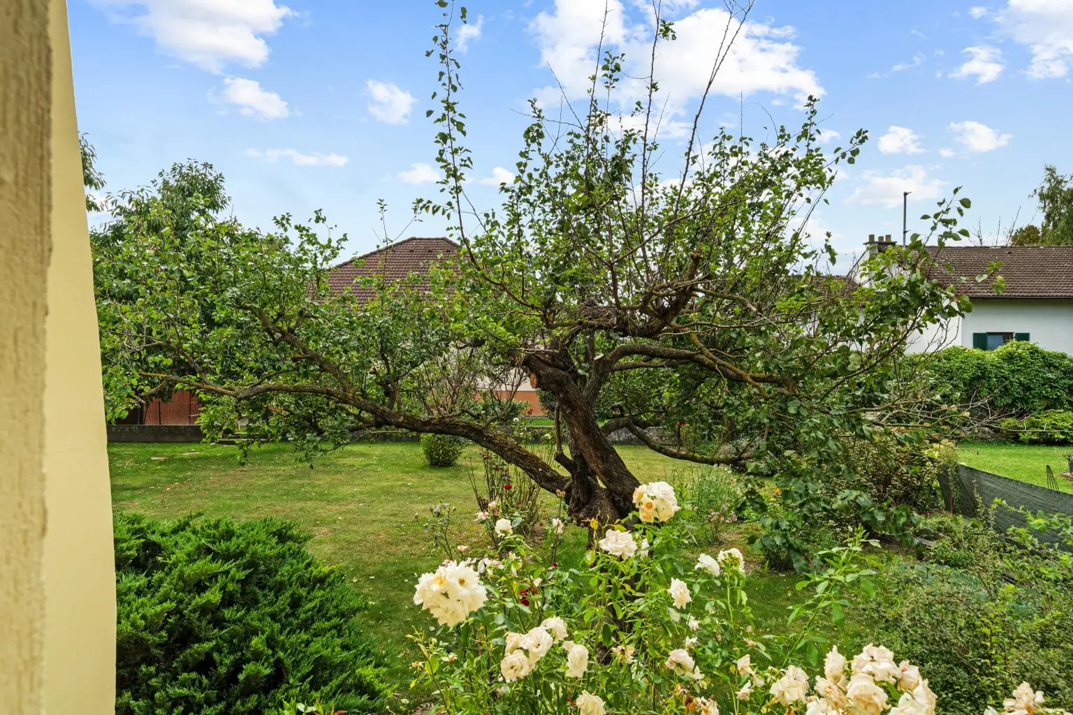 "Bungalow - sonnig- gepflegt- 4 Zimmer "