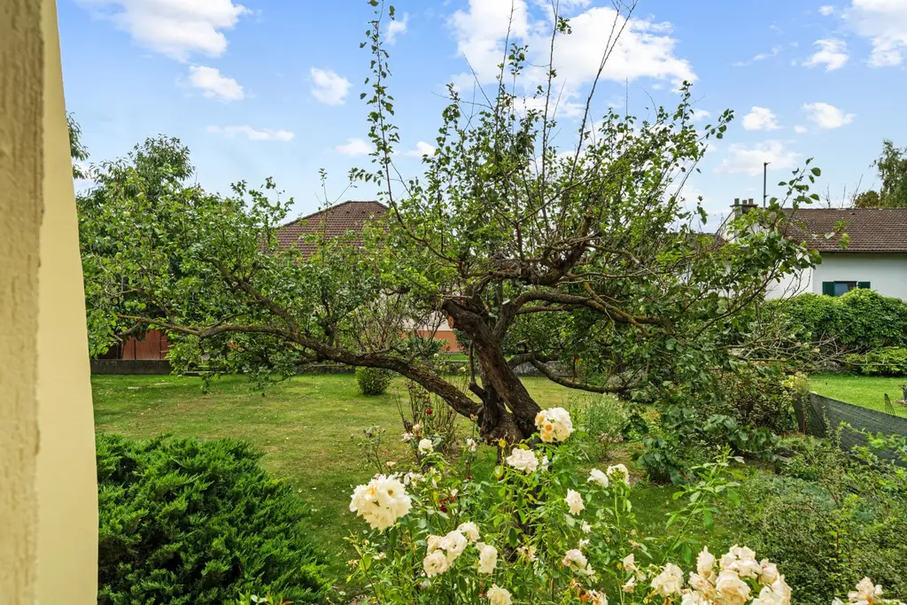 "Bungalow - sonnig- gepflegt- 4 Zimmer "