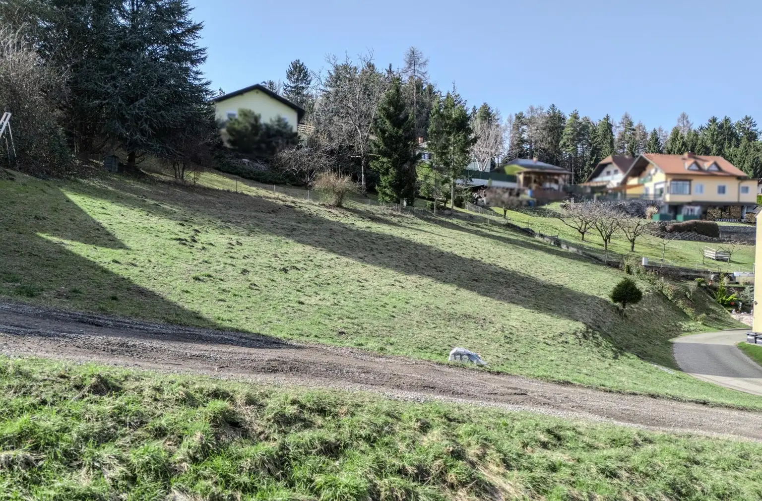 DJI_20241228113230_0088_D