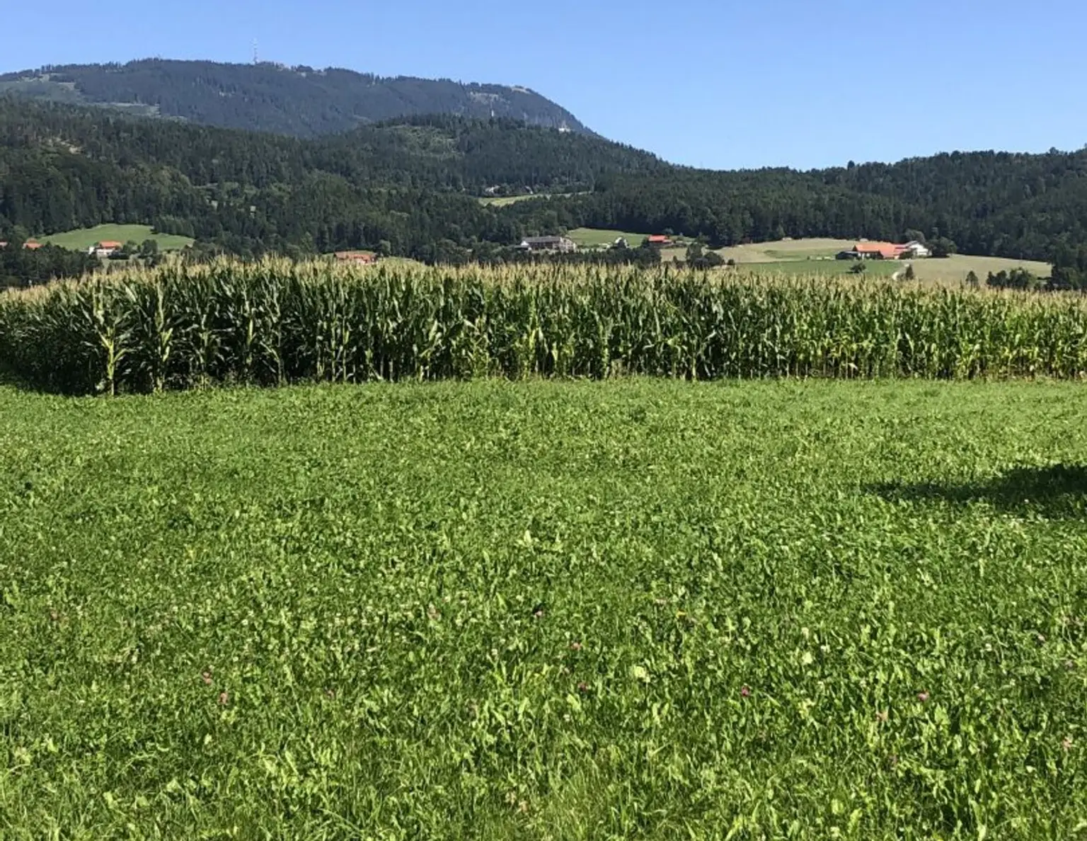 Baugrundstück 800 m² Ganztagssonne TOPLAGE in 8045 Weinitzen mit Schöcklblick