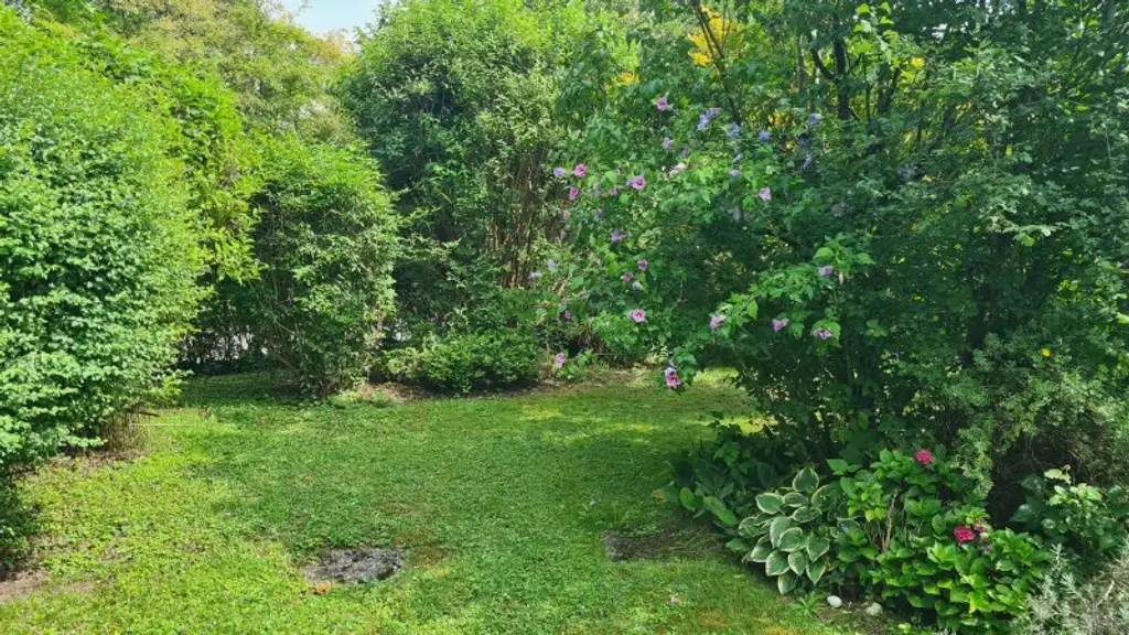 Besichtigungsmöglichkeit am Sonntag 3. August - Liebhaberobjekt: Freizeitgrundstück mit Wochenendhaus am Brandstätter See