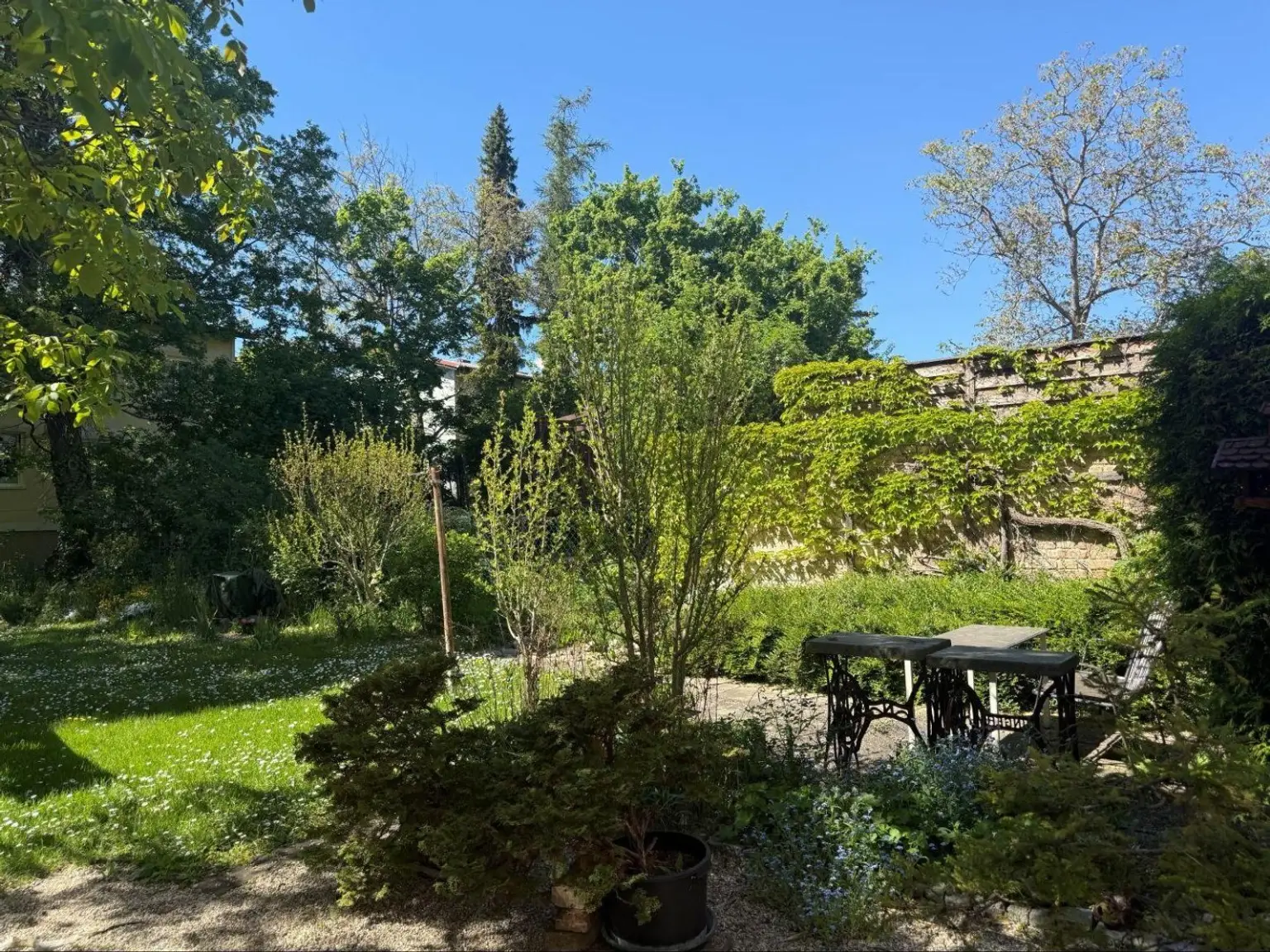 Garten 1