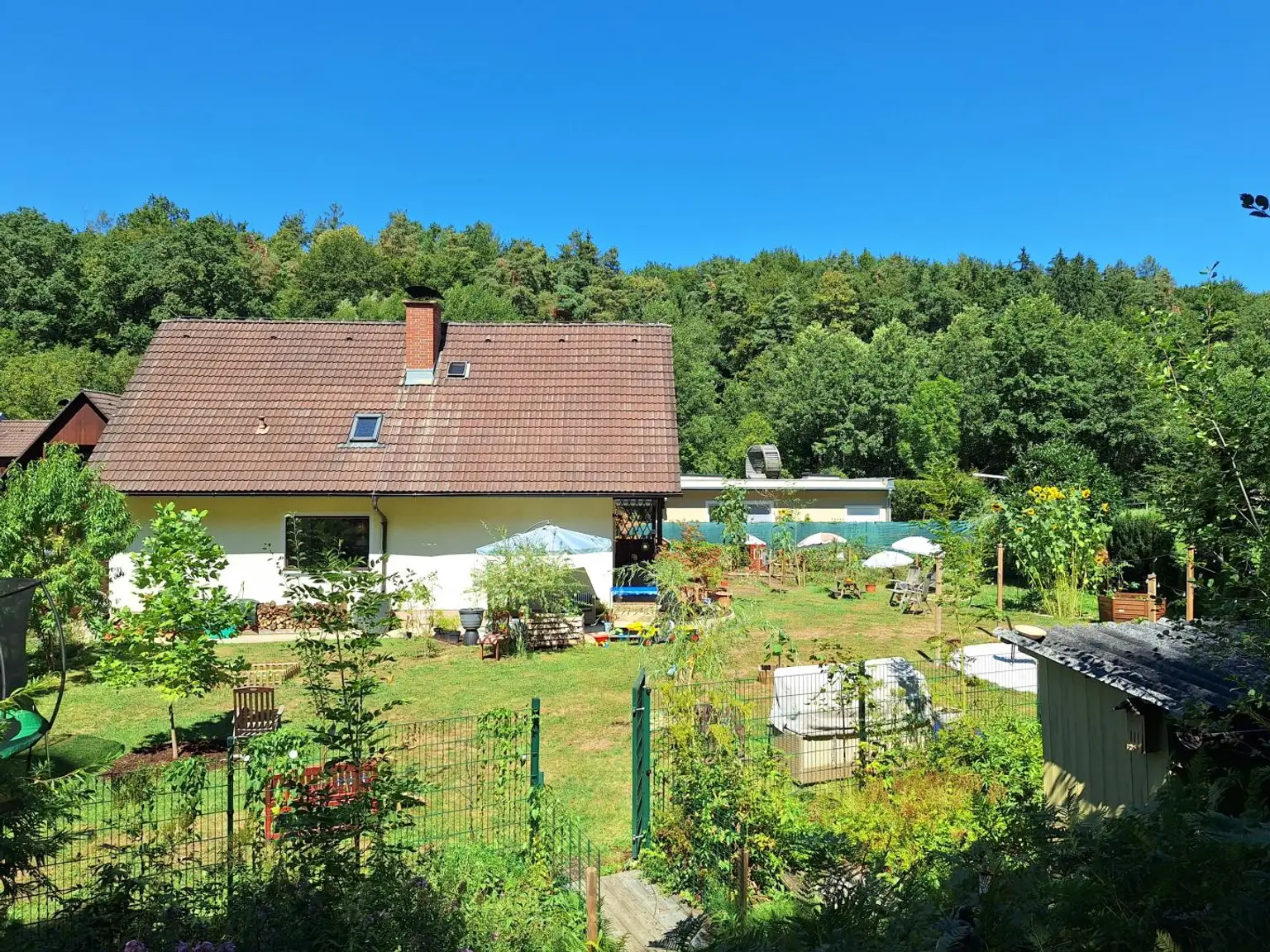 Blick aus dem Eigenwald