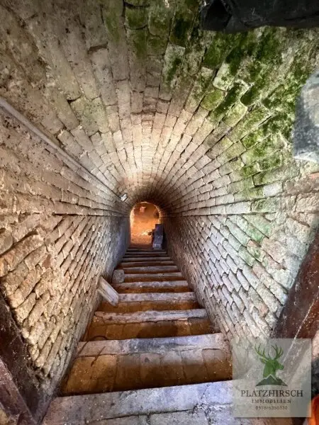 Einzigartiges Liebhaberobjekt mit toskanischem Flair, riesigem Garten, herrlichem Wintergarten, in Prottes - 35 Min von Wien - 8 Minuten von Gänserndorf