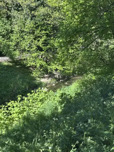 Liesingbach vor dem Haus