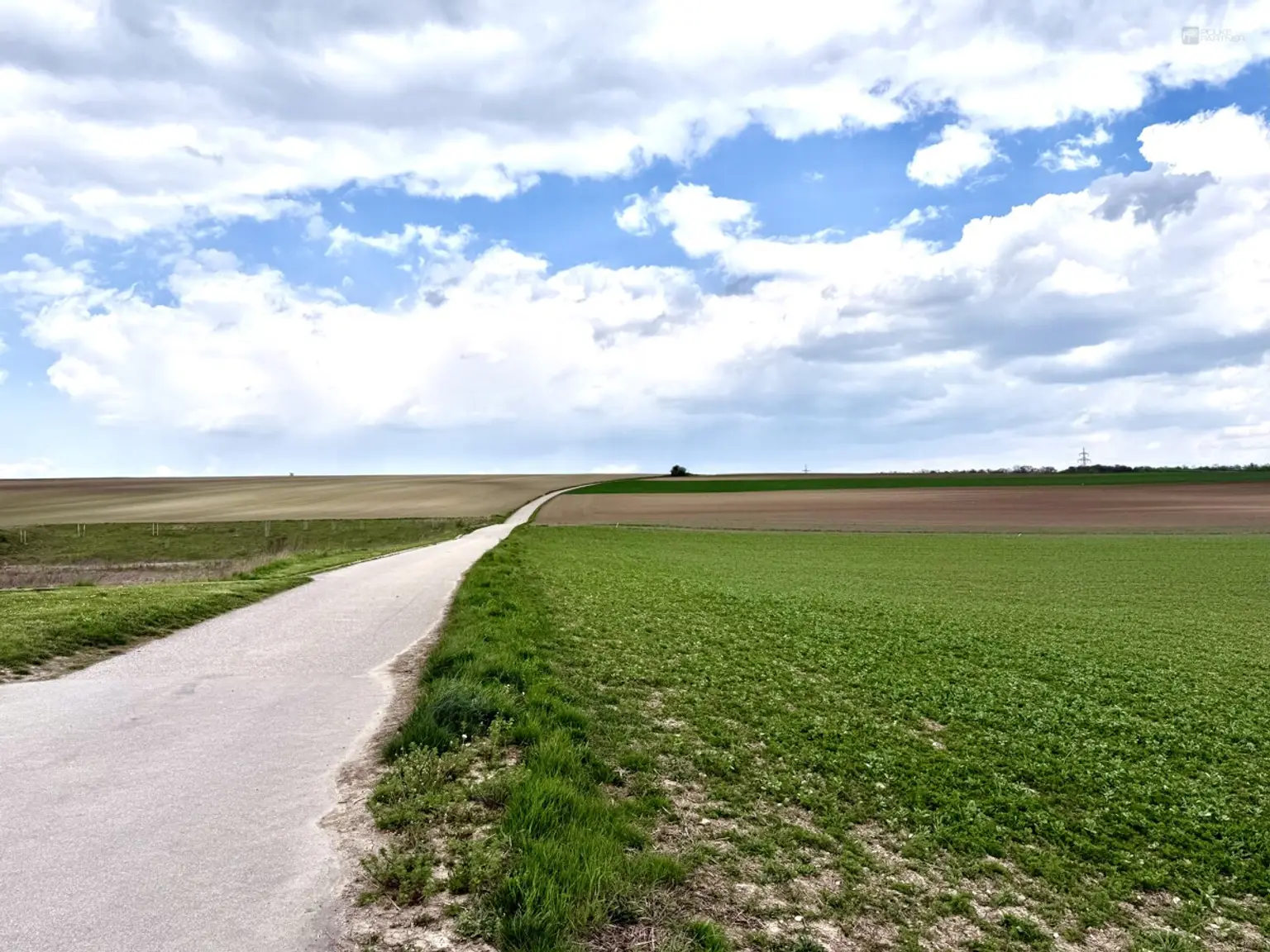 Aussicht vom Anwesen