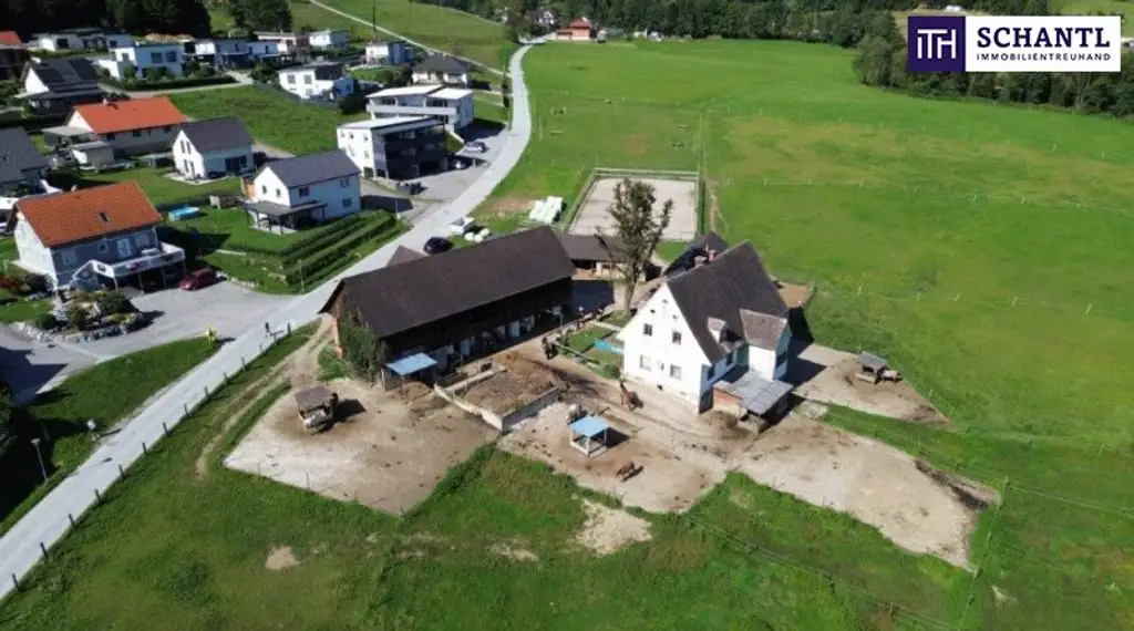 PFERDERANCH IN DER GRÜNEN STEIERMARK! Idyllischer Reiterhof in der Steiermark – Natur, Ruhe & Freiheit genießen! GLEICH ANFRAGEN UND BESICHTIGUNGSTERMIN VEREINBAREN!