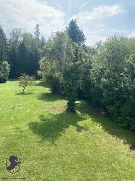 Außergewöhnliche Villa mit drei Wohneinheiten, Gewerbeeinheit & teilbarem Grundstück