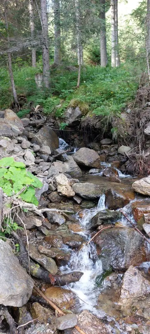 Top Zustand - Großes Landhaus mit Grünland und eigenen Trinkwasserquellen in ruhiger Panoramalage