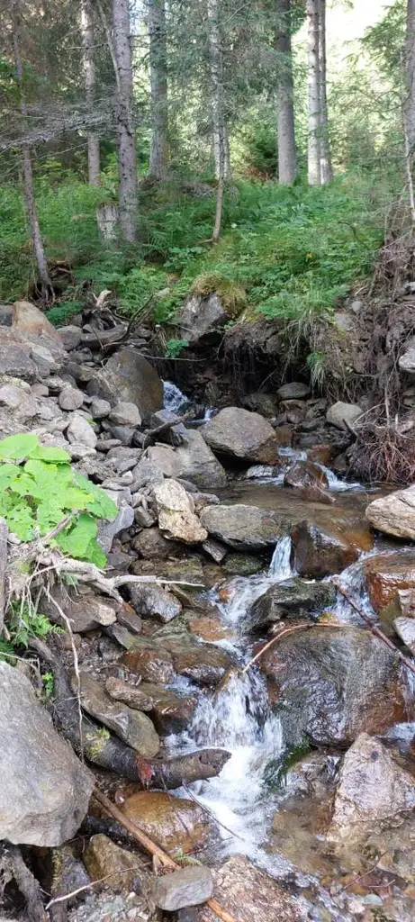 Top Zustand - Großes Landhaus mit Grünland und eigenen Trinkwasserquellen in ruhiger Panoramalage