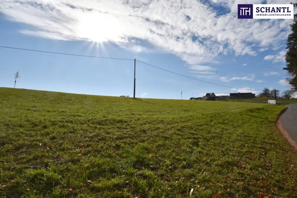 SPITZEN Grundstück vollerschlossen mit hoher Bebauungsdichte - ca. 330m² Wohnfläche in Oisnitz / St. Josef - Nähe Lannach