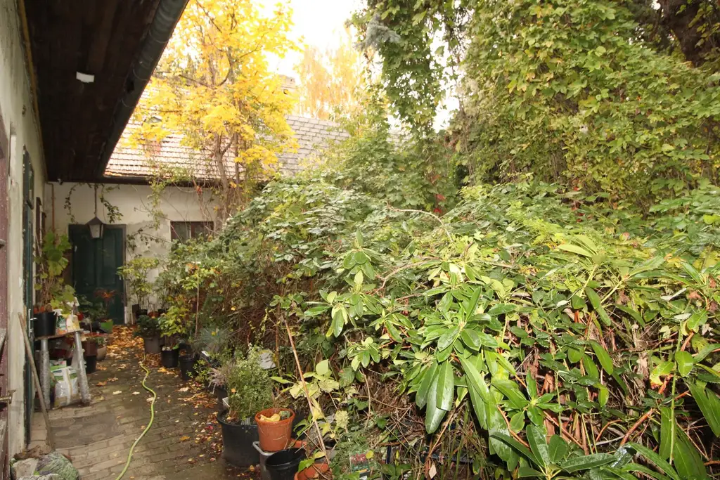 "Grundstück in Asperner Bestlage"