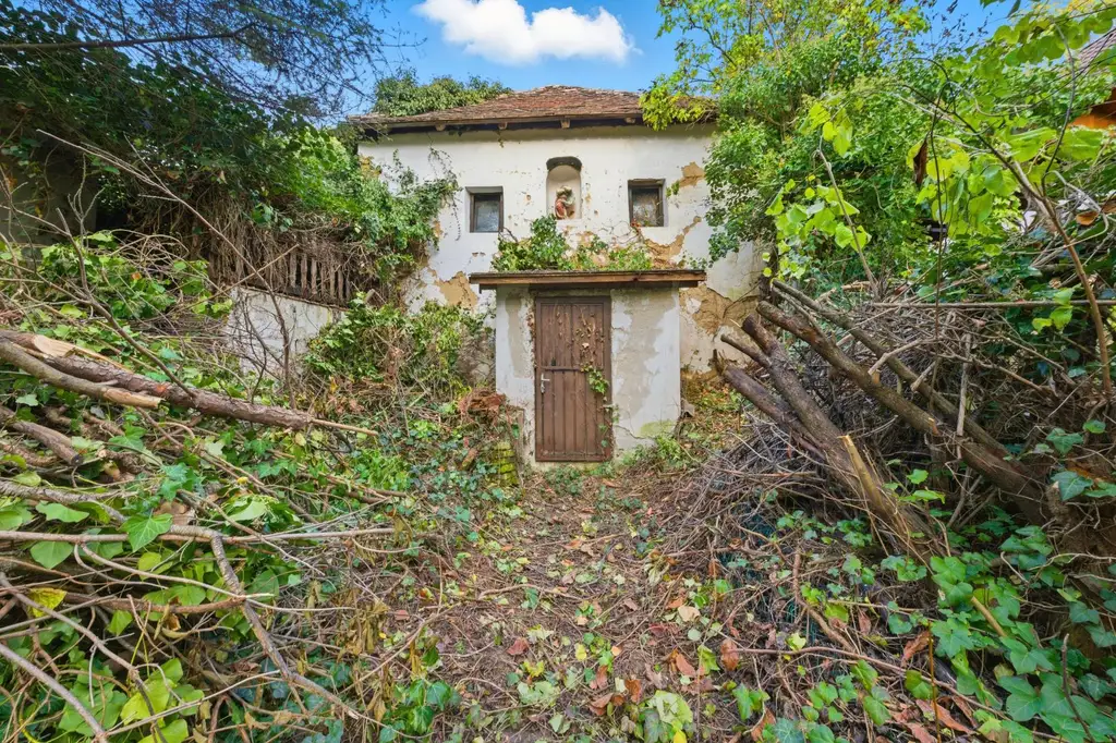 Revitalisieren und Gestalten nach eigenen Ideen: Weinkeller und Garten im Einklang mit der Natur!