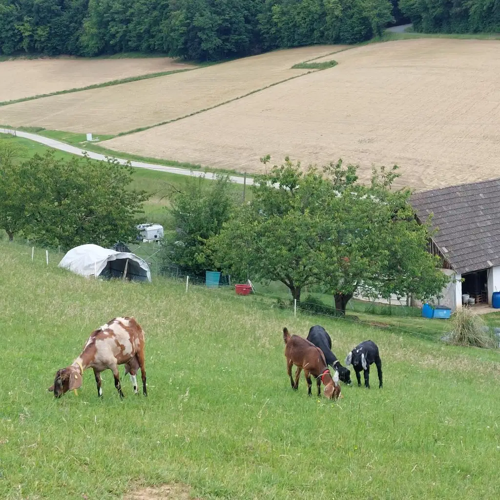Selbstversorgeranwesen