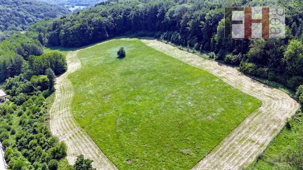 Herrschaftliches, historisches Anwesen, 94.000m² Grund, WNFL 720m², absolute Ruhelage in Pressbaum!