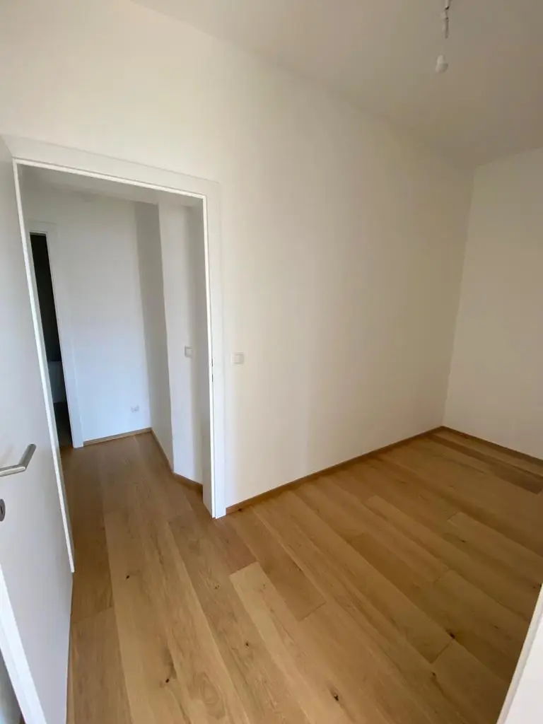 Zimmer IV