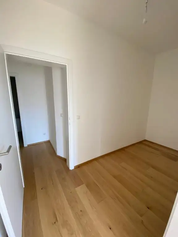 Zimmer IV