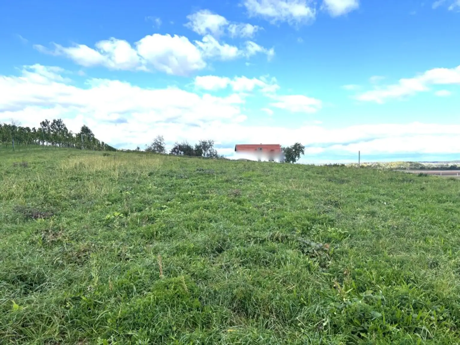 ** FÜR GENIESSER **  Schickes Kellerstöckl mit feiner Ausstattung am Gaaser Weinberg !!
