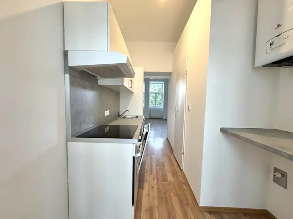 Cityapartment nahe U3 Schlachthausgasse - Charmanter Altbau in Ruhelage