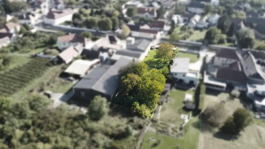 Ihr Baugrundstück in sonniger Lage von Langenlois -– ideale Basis für Ihr Traumhaus oder Bauprojekt