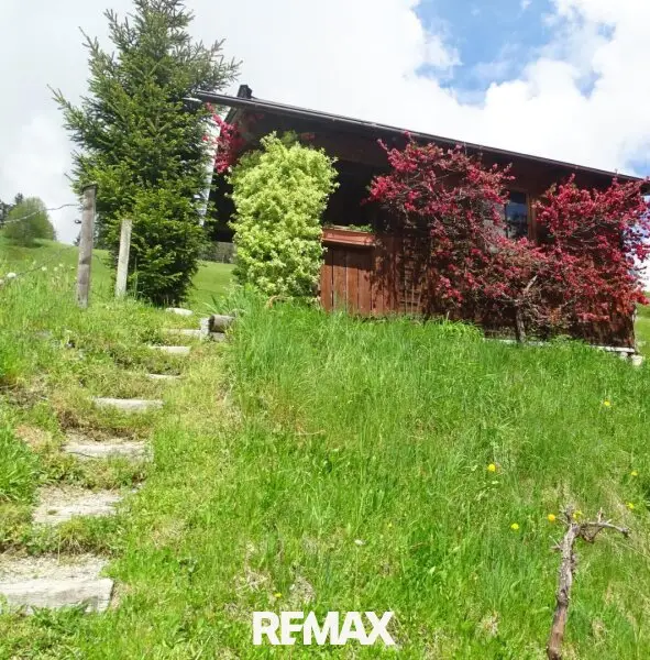 Gartenhaus/ garden