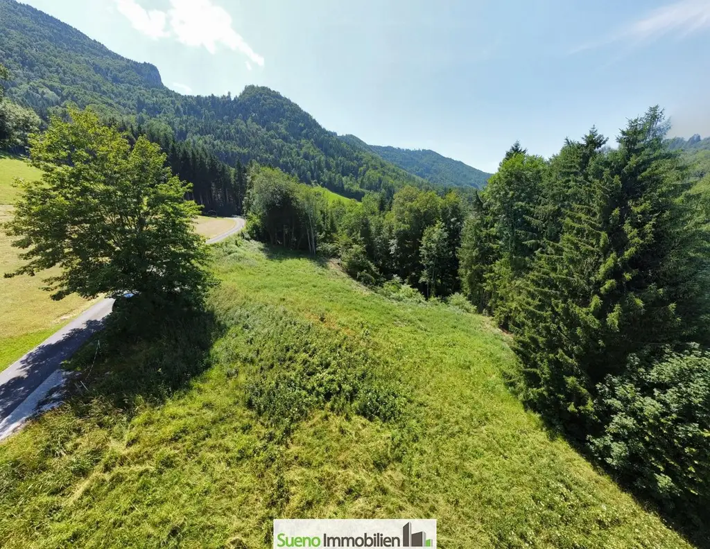 Ruhe genießen, See erleben: Wohnen in Traunkirchen bei Gmunden - Absolute Ruhelage - ca. 8 Minuten zum See!