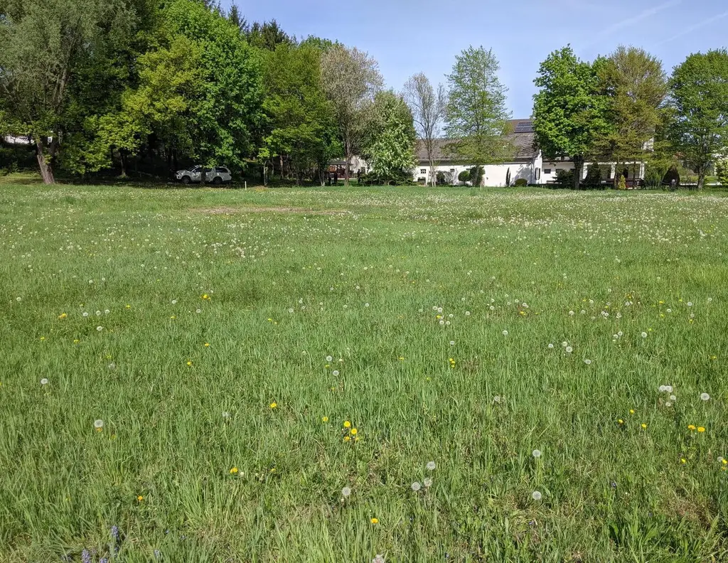 Privat: Sonniges Baugrundstück in Südburgenland