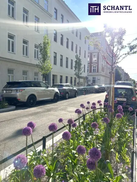 Ihr neues Zuhause im Supergrätzl: Klein, aber oho – Jetzt verwandeln!