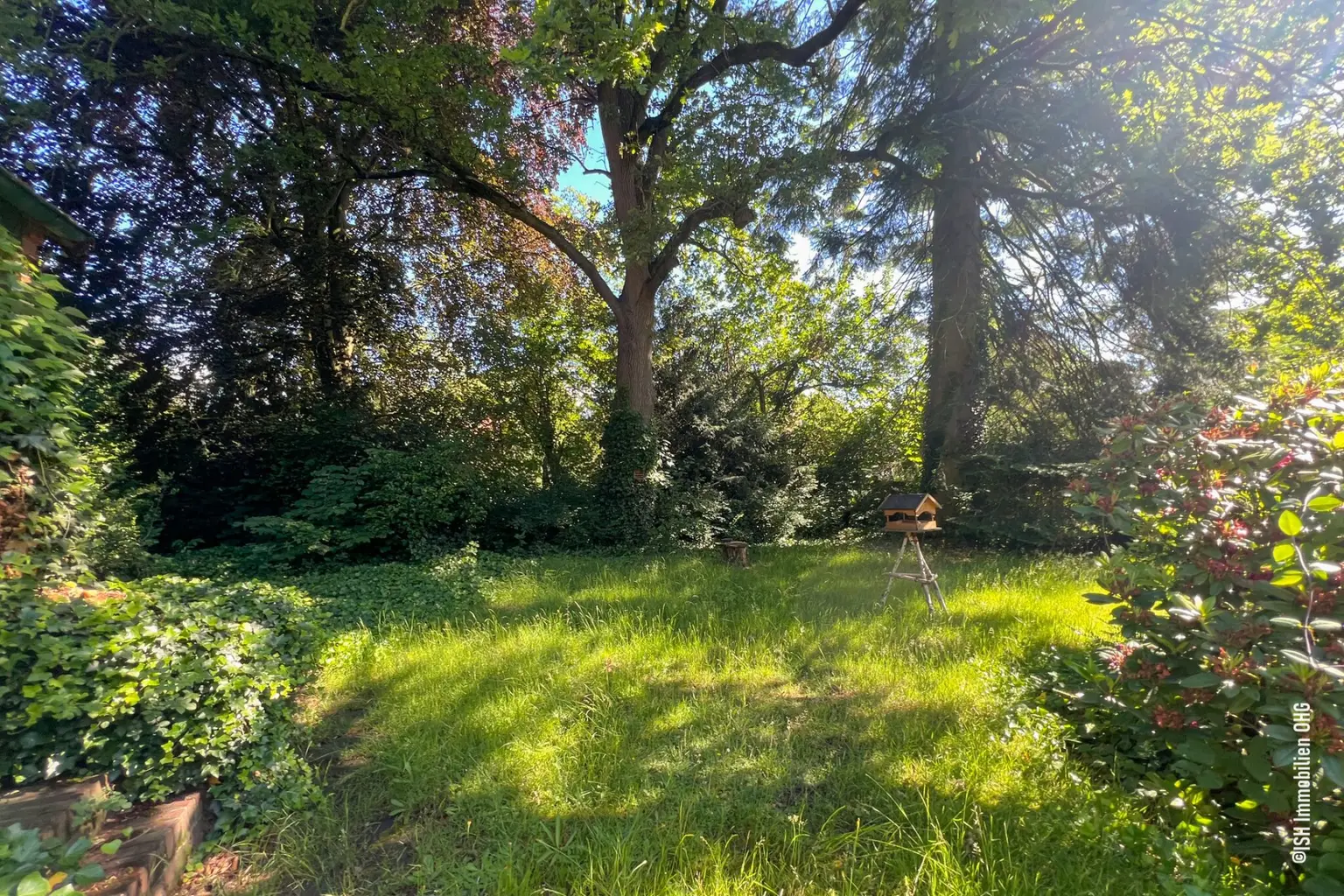 Blick in den Garten