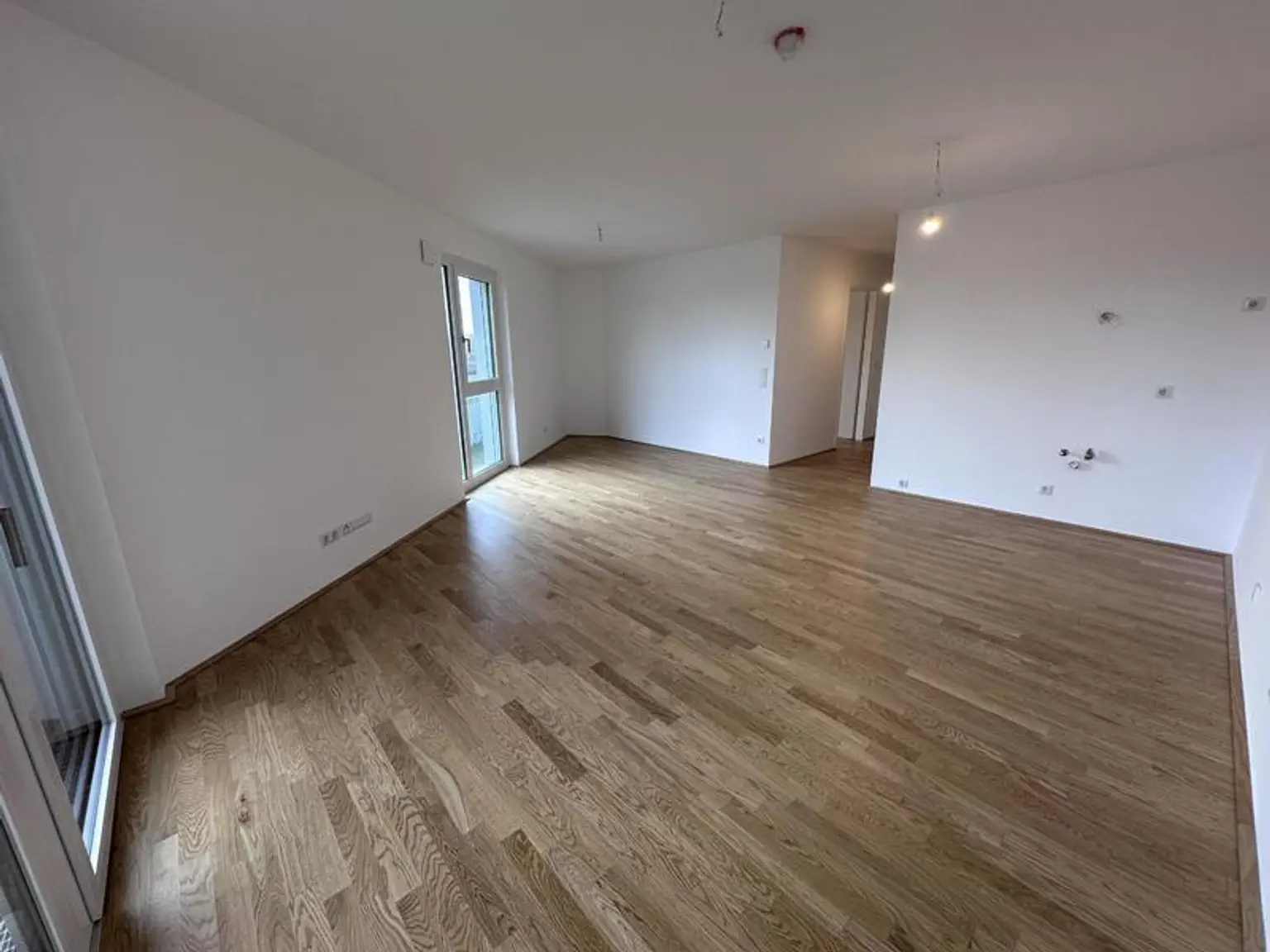 einen Katzensprung von Wien entfernt MIETE