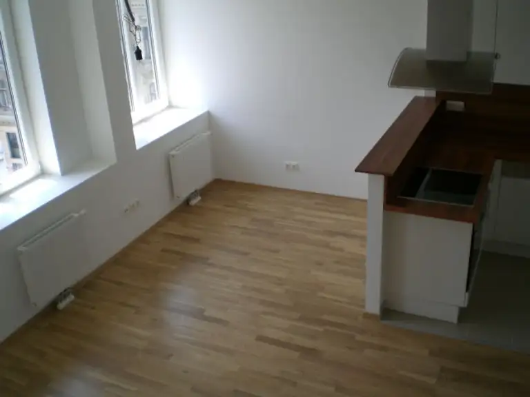 Wohnküche 1.2